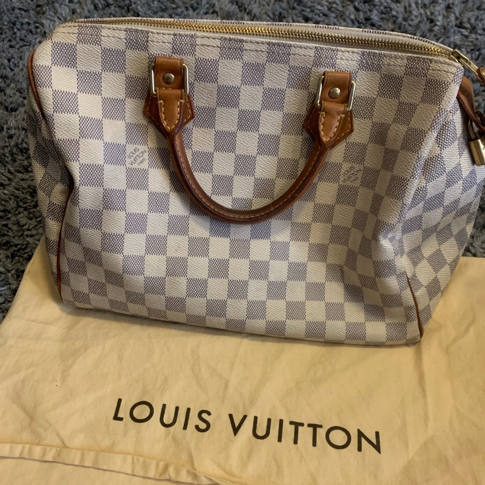 LV Speedy handbag.